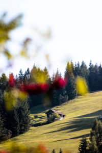 Germany, Bavaria, Mittenwald, meadow, hill, hut Germany, Bavaria, Mittenwald, meadow, hill, hut