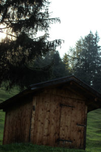 Germany, Bavaria, Mittenwald, meadow, hut Germany, Bavaria, Mittenwald, meadow, hut