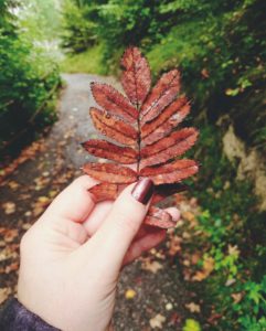 Hand hält Blatt Hand hält Blatt