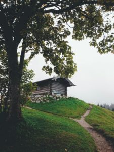 Hoher Kranzberg, summit house, tree Hoher Kranzberg, summit house, tree