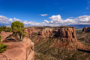 The USA, Colorado, Colorado Nationwide monument, Fruita, Wedding canyon, view of Otto's Trail The USA, Colorado, Colorado Nationwide monument, Fruita, Wedding canyon, view of Otto's Trail