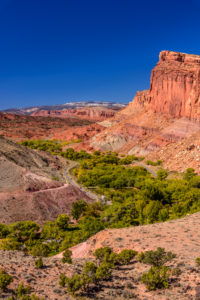 The USA, Utah, Wayne County, Torrey, Capitol Reef Nationwide park, Sulphur Creek Valley, Fruita Historic District with Fruita Cliffs The USA, Utah, Wayne County, Torrey, Capitol Reef Nationwide park, Sulphur Creek Valley, Fruita Historic District with Fruita Cliffs