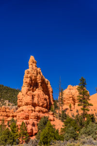 The USA, Utah, Garfield County, Dixie National Forest, Panguitch, Red canyon, view in the Scenic Byway 12 The USA, Utah, Garfield County, Dixie National Forest, Panguitch, Red canyon, view in the Scenic Byway 12