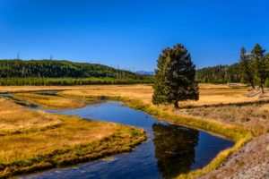 US, Wyoming, Yellowstone National Park, Madison, Madison River Valley US, Wyoming, Yellowstone National Park, Madison, Madison River Valley