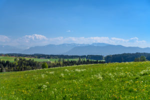 Deutschland, Bayern, Oberbayern, Tölzer Land, Dietramszell, Ortsteil Großeglsee, Frühlingslandschaft gegen Voralpen Deutschland, Bayern, Oberbayern, Tölzer Land, Dietramszell, Ortsteil Großeglsee, Frühlingslandschaft gegen Voralpen