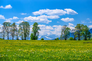 Germany, Bavaria, Tölzer Land, Isarwinkel, Greiling, district Lohwiesen, spring landscape against the Karwendel mountains