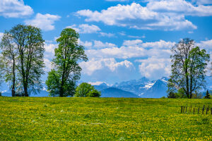 Germany, Bavaria, Tölzer Land, Isarwinkel, Greiling, district Lohwiesen, spring landscape against the Karwendel mountains
