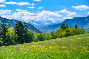 Germany, Bavaria, Tölzer Land, Isarwinkel, Greiling, Attenloher Feld against Karwendelgebirge and Brauneck