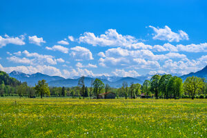 Germany, Bavaria, Tölzer Land, Isarwinkel, Gaißach, district Mühle, spring landscape against the Karwendel mountains