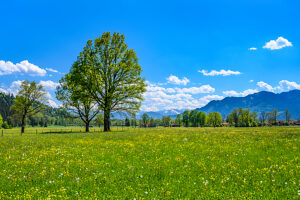Germany, Bavaria, Tölzer Land, Isarwinkel, Gaißach, district Mühle, spring landscape against Karwendelgebirge & Brauneck
