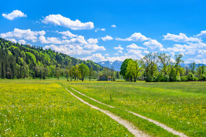Germany, Bavaria, Tölzer Land, Isarwinkel, Gaißach, district Mühle, spring landscape against the Karwendel mountains