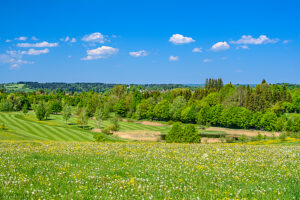 Germany, Bavaria, Tölzer Land, Bad Tölz, Golf course, Golfclub Isarwinkel, View from Gaißach