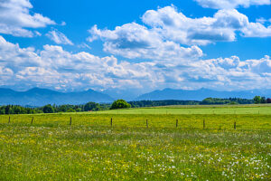Germany, Bavaria, Tölzer Land, Icking, district Walchstadt, spring landscape against the Alps