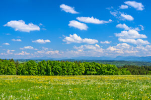 Germany, Bavaria, Tölzer Land, Icking, district Walchstadt, spring landscape against the Alps