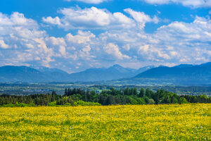 Germany, Bavaria, Tölzer Land, Icking, district Walchstadt, spring landscape against the foothills of the Alps with Karwendel mountains