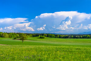 Germany, Bavaria, Tölzer Land, Egling, district Attenham, spring landscape against the Alps