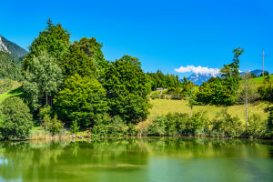 Austria, Tyrol, Kufstein district, Kramsach, Krummsee