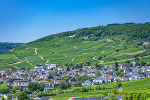 Germany, Hesse, Rheingau, Geisenheim, View from Rothenberg to Niederwalddenkmal