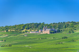 Germany, Hesse, Rheingau, Geisenheim, View from Rothenberg to St. Hildegard Abbey