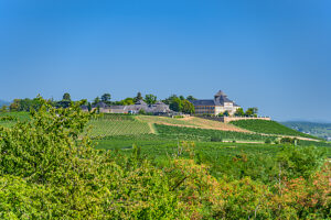 Germany, Hesse, Rheingau, Geisenheim, View from Rothenberg to Johannisberg Castle