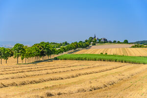 Germany, Hesse, Taunus, Bad Camberg, Way of the Cross with Chapel of the Cross
