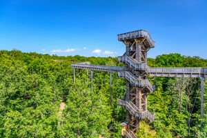 Germany, Hesse, Taunus, Bad Camberg, treetop walk, observation tower