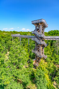 Germany, Hesse, Taunus, Bad Camberg, treetop walk, observation tower