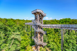 Germany, Hesse, Taunus, Bad Camberg, treetop walk, observation tower