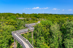 Germany, Hesse, Taunus, Bad Camberg, Treetop Walk