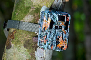 Camera trap for capturing wildlife, Danum Valley Conservation Area, Sabah, Borneo, Malaysia Camera trap for capturing wildlife, Danum Valley Conservation Area, Sabah, Borneo, Malaysia