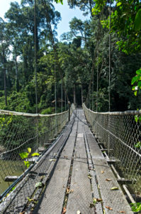 Suspension bridge over the Danum River, Danum Valley Conservation Area, Sabah, Borneo, Malaysia Suspension bridge over the Danum River, Danum Valley Conservation Area, Sabah, Borneo, Malaysia