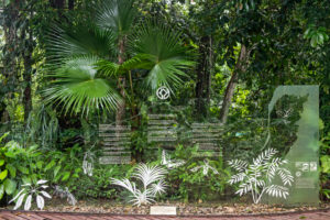 Entrance to Gunung Mulu National Park, UNESCO World Heritage Site, Sarawak, Borneo, Malaysia Entrance to Gunung Mulu National Park, UNESCO World Heritage Site, Sarawak, Borneo, Malaysia