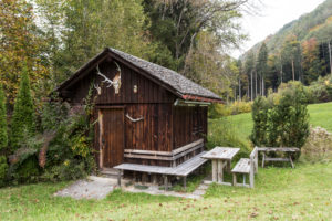 hut at the edge of the forest, meadow hut at the edge of the forest, meadow