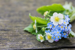Bunch from strawberry flower and forget-me-not on old wooden bench, close-up, Bunch from strawberry flower and forget-me-not on old wooden bench, close-up,