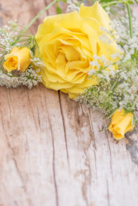 gentle yellow rose with rosebuds and white little blossoms arranged on old wooden board, gentle yellow rose with rosebuds and white little blossoms arranged on old wooden board,