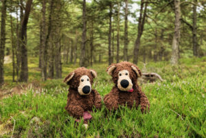 2 sitting teddy bears in the forest, 2 sitting teddy bears in the forest,