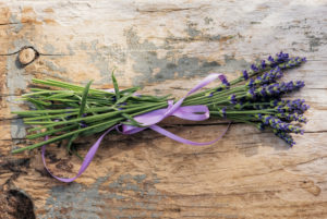 floral still life, lavender on old weather-beaten wooden board, floral still life, lavender on old weather-beaten wooden board,