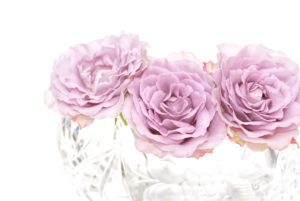 3 pink roses in crystal bowl, Horizontally, white background 3 pink roses in crystal bowl, Horizontally, white background