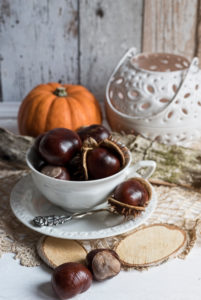 Autumn Still Life, Mug with chestnuts and decoration, in front of pumpkin and candle holders, Autumn Still Life, Mug with chestnuts and decoration, in front of pumpkin and candle holders,