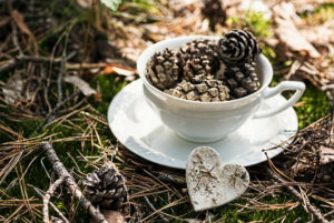 Still Life, Mug with cones on the forest floor, Still Life, Mug with cones on the forest floor,
