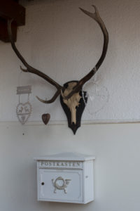 House entrance with mailbox and wood with deer antlers House entrance with mailbox and wood with deer antlers