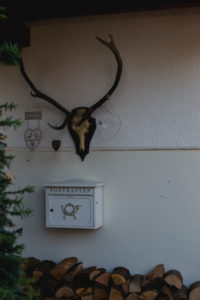 House entrance with mailbox and wood with deer antlers House entrance with mailbox and wood with deer antlers