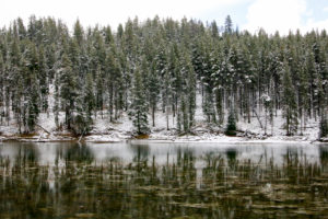 Yellowstone National Park, Winter, Schnee, schneebedeckte Tannen Yellowstone National Park, Winter, Schnee, schneebedeckte Tannen
