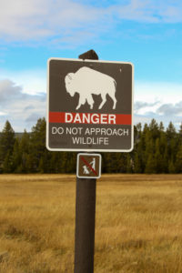Yellowstone National Park: Danger Schild, Büffel Yellowstone National Park: Danger Schild, Büffel