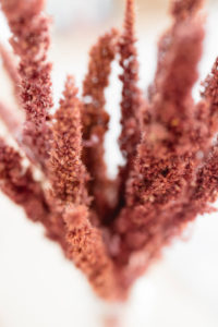 Decoration, dried flowers, close-up Decoration, dried flowers, close-up