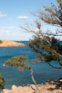Rocks, cliffs, bay near Orosei in Sardinia with pine trees and blue sea Rocks, cliffs, bay near Orosei in Sardinia with pine trees and blue sea