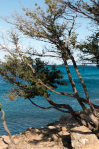 Rocks, cliffs, bay near Orosei in Sardinia with pine trees and blue sea Rocks, cliffs, bay near Orosei in Sardinia with pine trees and blue sea