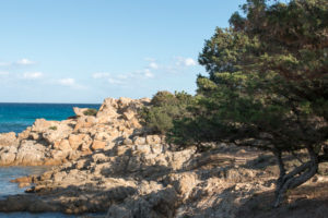 Rocks, cliffs, bay near Orosei in Sardinia with pine trees and blue sea Rocks, cliffs, bay near Orosei in Sardinia with pine trees and blue sea