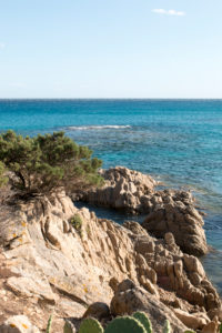 Rocks, cliffs, bay near Orosei in Sardinia with pine trees and blue sea Rocks, cliffs, bay near Orosei in Sardinia with pine trees and blue sea