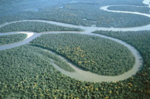 Peru, Amazon, Aerial View America, South America, Nature, Forest, Rainforest, Rainforest, Primeval Forest, River, Stream, South America's Largest Stream, Overview, Nature, Vegetation Peru, Amazon, Aerial View America, South America, Nature, Forest, Rainforest, Rainforest, Primeval Forest, River, Stream, South America's Largest Stream, Overview, Nature, Vegetation